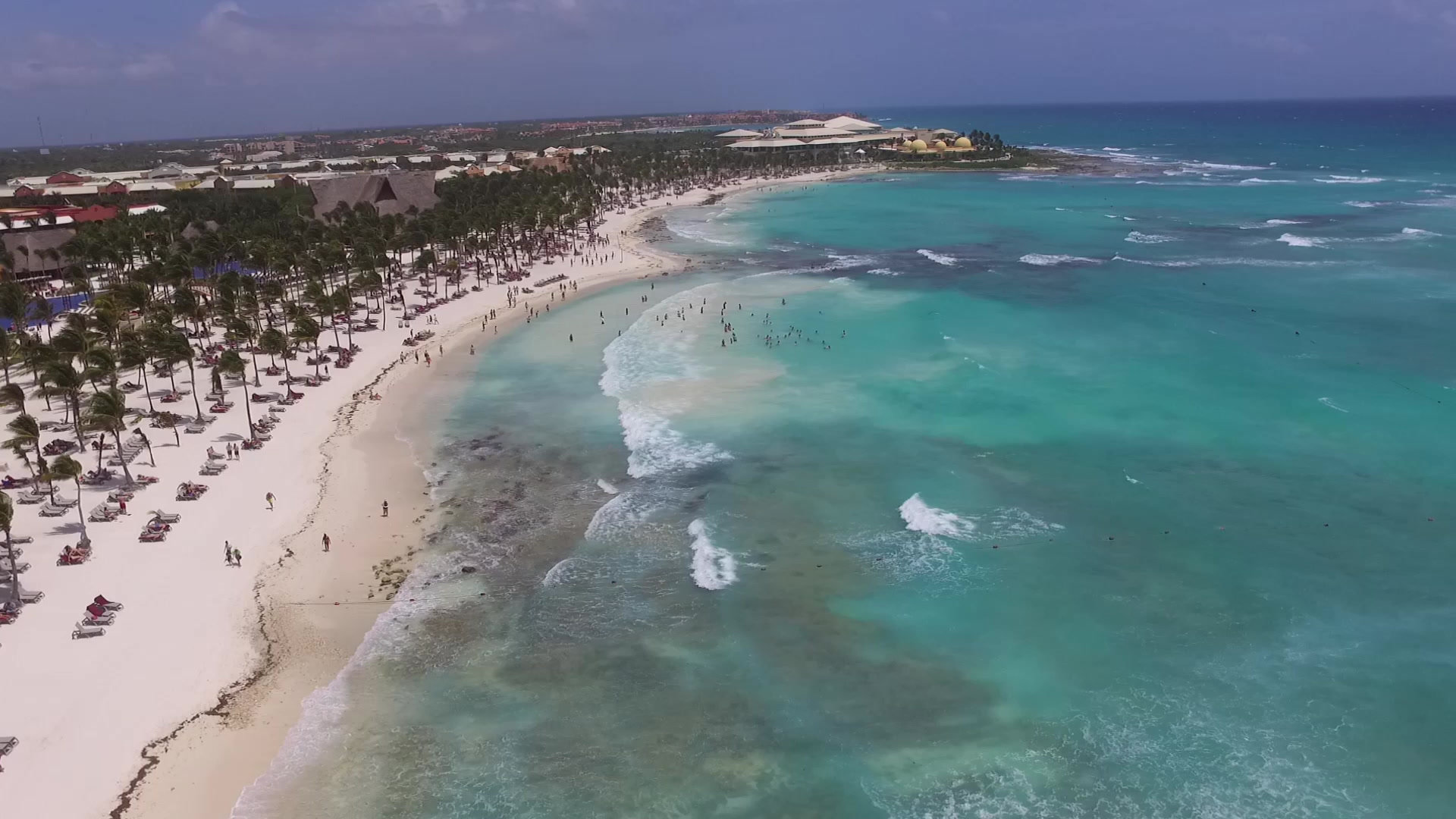 Bears on Deck community